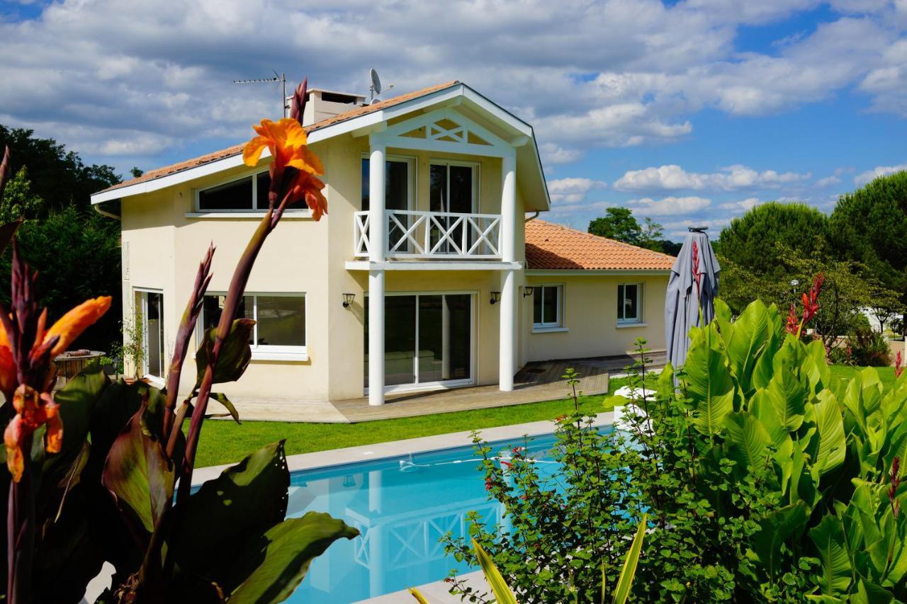 Villa Alba. Piscine Grand Jardin Hauts De Bordeaux Carignan-de-Bordeaux Экстерьер фото