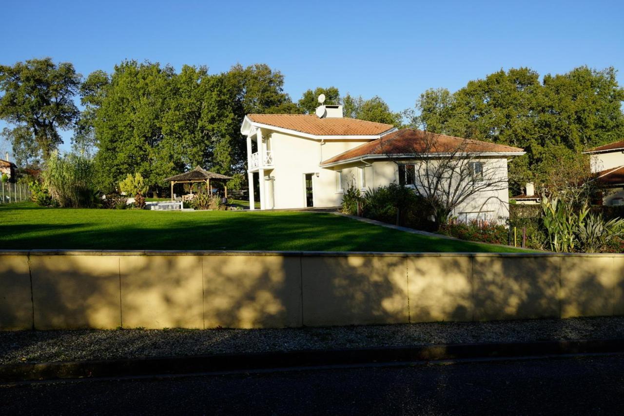 Villa Alba. Piscine Grand Jardin Hauts De Bordeaux Carignan-de-Bordeaux Экстерьер фото